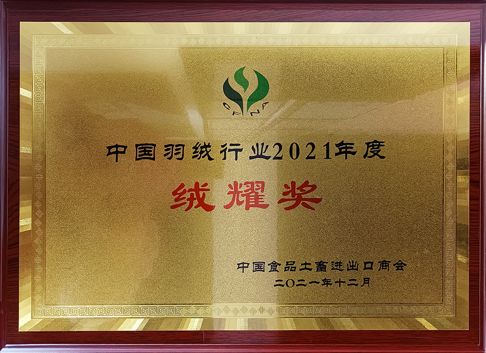 中國羽絨行業2021年度絨耀獎